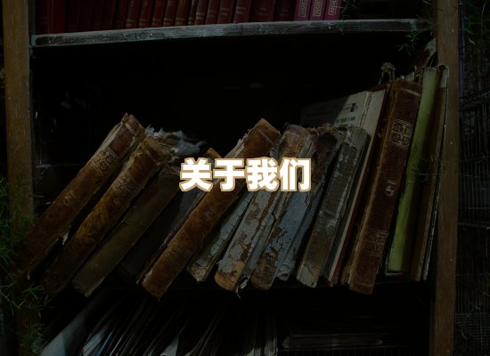 关于昭瑞电子书